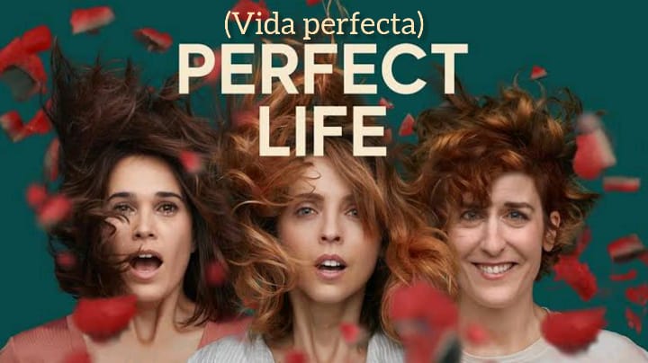 Perfect Life (Temporada 1) HD 720p (Mega)