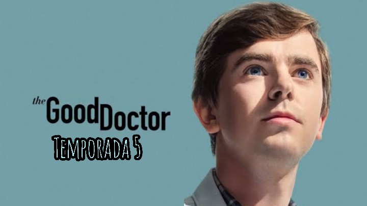 The Good Doctor (Temporada 5) HD 720p (Mega)