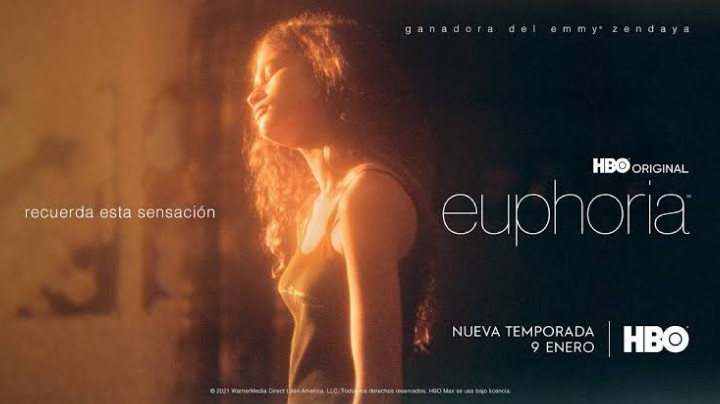 Euphoria (Temporadas 1 y 2) HD 720p (Mega)