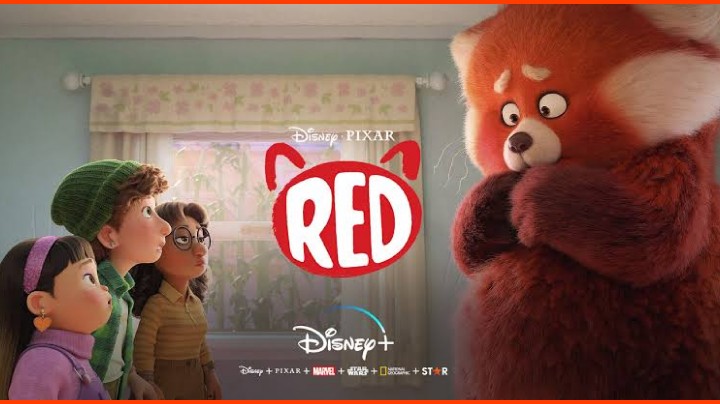 Red (Película) HD 1080p (Mega)